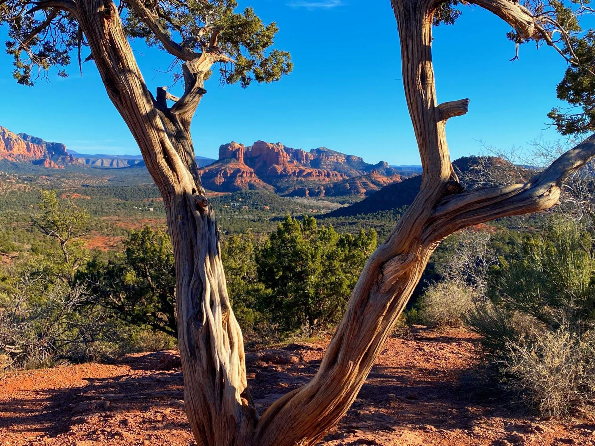 Sedona'S Paradise Found, Saltwater Pool And Hot Tub, Private Oasis! Esterno foto